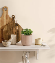 Load image into Gallery viewer, Sandy Pink
