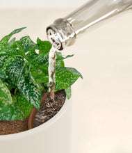 Load image into Gallery viewer, Cotton White stand:all
