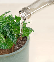 Load image into Gallery viewer, Reactive Aqua stand:all
