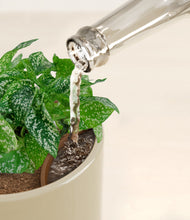 Load image into Gallery viewer, Sage Green stand:all
