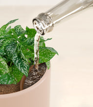 Load image into Gallery viewer, Sandy Pink stand:all
