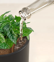 Load image into Gallery viewer, Stone Black stand:all
