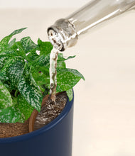 Load image into Gallery viewer, Twilight Blue stand:all
