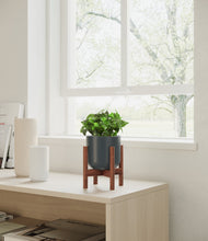 Load image into Gallery viewer, Iron Gray stand:walnut
