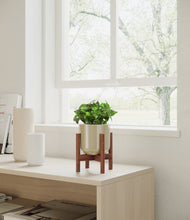 Load image into Gallery viewer, Sage Green stand:walnut
