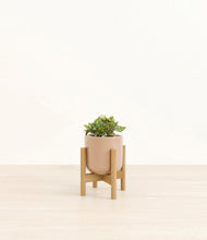 Load image into Gallery viewer, Glossy Pink stand:bamboo
