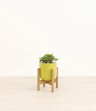 Load image into Gallery viewer, Key Lime Yellow stand:bamboo
