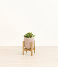 Load image into Gallery viewer, Sandy Pink stand:bamboo
