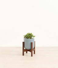 Load image into Gallery viewer, Misty Blue stand:walnut
