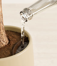 Load image into Gallery viewer, Sandy stand:all
