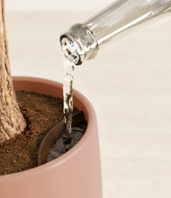 Load image into Gallery viewer, Evening Sky stand:all
