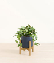 Load image into Gallery viewer, Deep Navy stand:bamboo

