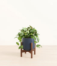Load image into Gallery viewer, Deep Navy stand:walnut
