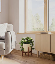 Load image into Gallery viewer, Almond Green stand:walnut
