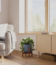 Load image into Gallery viewer, Deep Navy stand:walnut
