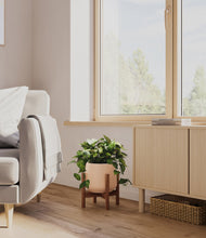 Load image into Gallery viewer, Gentle Pink stand:walnut
