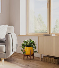 Load image into Gallery viewer, Mustard stand:walnut
