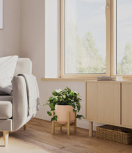 Load image into Gallery viewer, Gentle Pink stand:bamboo
