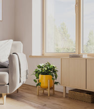 Load image into Gallery viewer, Mustard stand:bamboo
