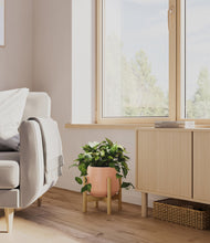 Load image into Gallery viewer, Calm Rose stand:bamboo
