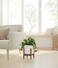 Load image into Gallery viewer, White stand:walnut
