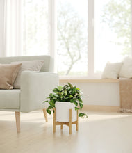 Load image into Gallery viewer, White stand:bamboo
