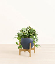 Load image into Gallery viewer, Deep Navy stand:bamboo
