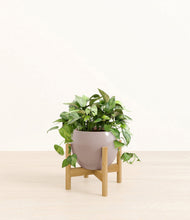 Load image into Gallery viewer, Winter Clouds stand:bamboo
