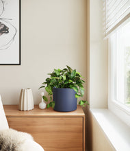 Load image into Gallery viewer, Deep Navy
