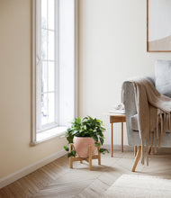 Load image into Gallery viewer, Calm Rose stand:bamboo
