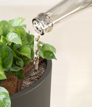 Load image into Gallery viewer, Dark Olive stand:all
