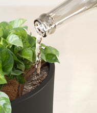 Load image into Gallery viewer, Black stand:all
