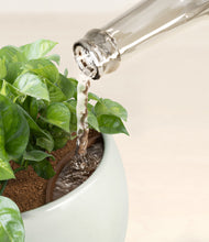 Load image into Gallery viewer, Deep Ocean stand:all
