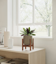 Load image into Gallery viewer, Olive stand:walnut
