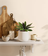 Load image into Gallery viewer, White
