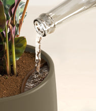 Load image into Gallery viewer, Olive stand:all
