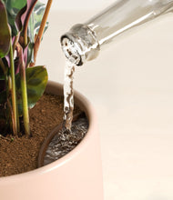 Load image into Gallery viewer, Gentle Pink stand:all
