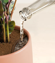 Load image into Gallery viewer, Calm Rose stand:all
