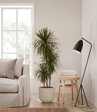 Load image into Gallery viewer, Natural Bamboo
