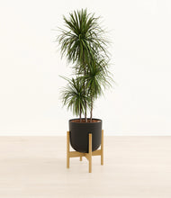 Load image into Gallery viewer, Stone Black stand:bamboo
