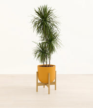 Load image into Gallery viewer, Sunset Orange stand:bamboo
