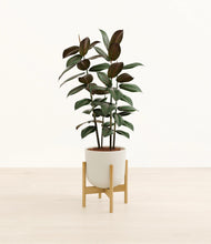Load image into Gallery viewer, Natural Bamboo stand:bamboo
