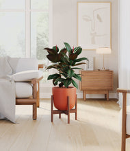 Load image into Gallery viewer, Earth Red stand:walnut
