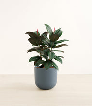 Load image into Gallery viewer, Iron Gray*****Profile
