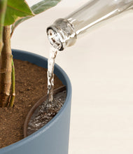 Load image into Gallery viewer, Iron Gray stand:all
