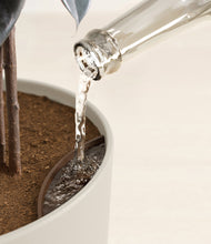 Load image into Gallery viewer, Natural Bamboo stand:all
