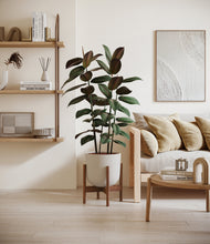 Load image into Gallery viewer, Natural Bamboo stand:walnut
