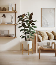 Load image into Gallery viewer, Natural Bamboo stand:bamboo
