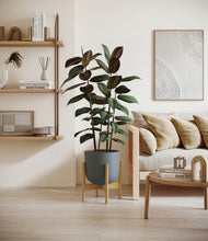 Load image into Gallery viewer, Iron Gray stand:bamboo
