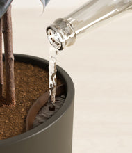 Load image into Gallery viewer, Woodland stand:all
